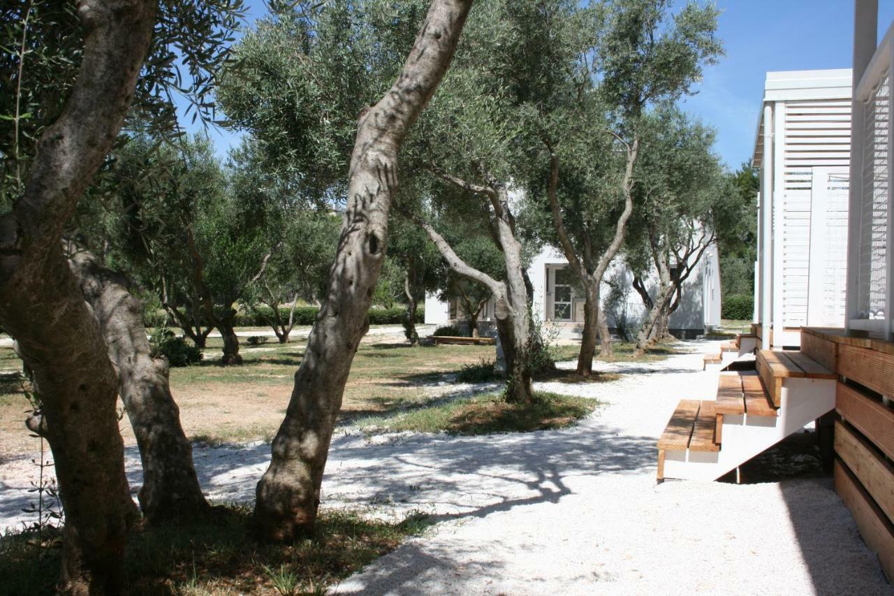Mobile Homes Katinka, Starigrad Paklenica, Croatia Ngoại thất bức ảnh